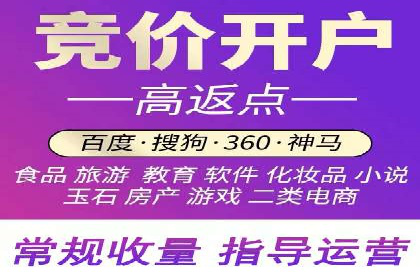 成功案例解析：SEM竞价员策略