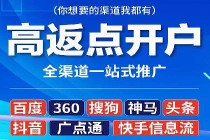 行业领先的SEM投放效果案例解析